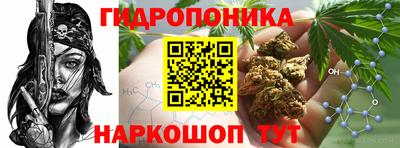прущий лед Ачхой-Мартан