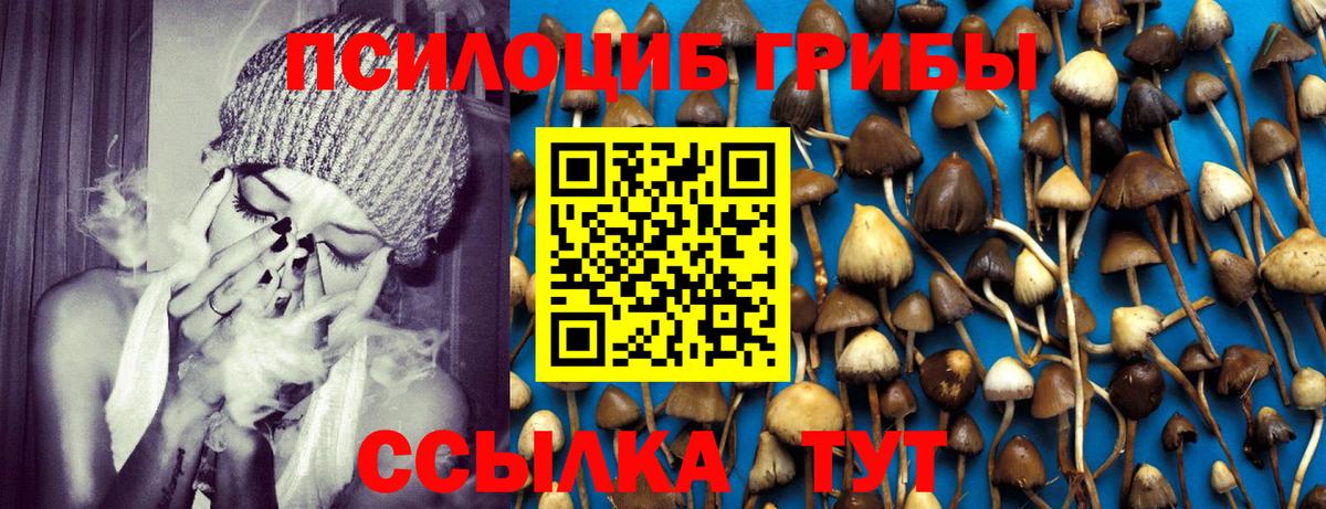Орёл  Псилоцибиновые грибы мухоморы  Галлюциногенные грибы ЛСД  Вход с VPN 
